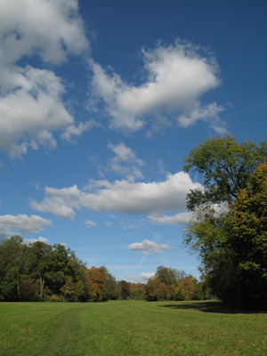 Das Wiesental im Biebricher Schlosspark (Oktober 2007)