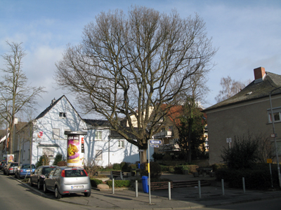 Der Platz „An der Jahneiche" (März 2013)